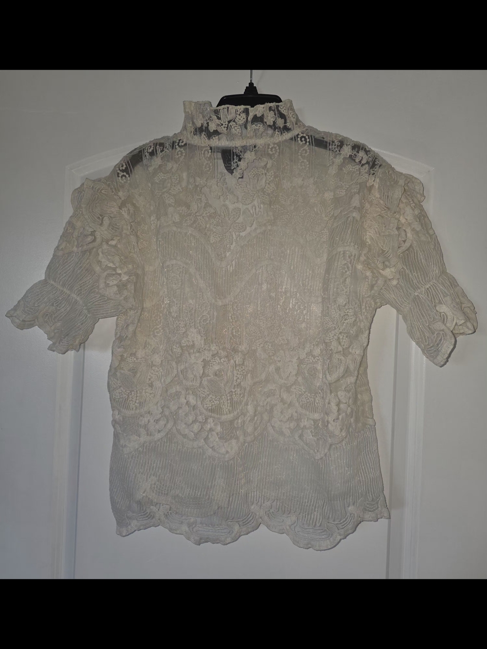 Liv Los Angeles Lace Mesh Short-Sleeve Embroidery Blouse, Size L - Picture 3 of 4